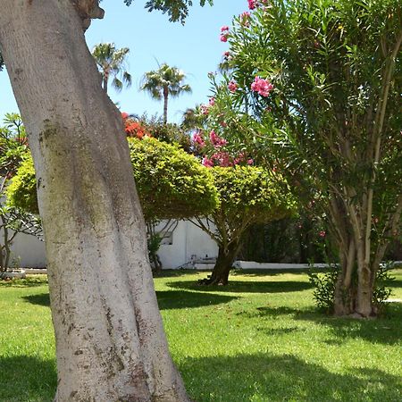 Apartamentos Don Quijote Playa del Ingles  Bagian luar foto