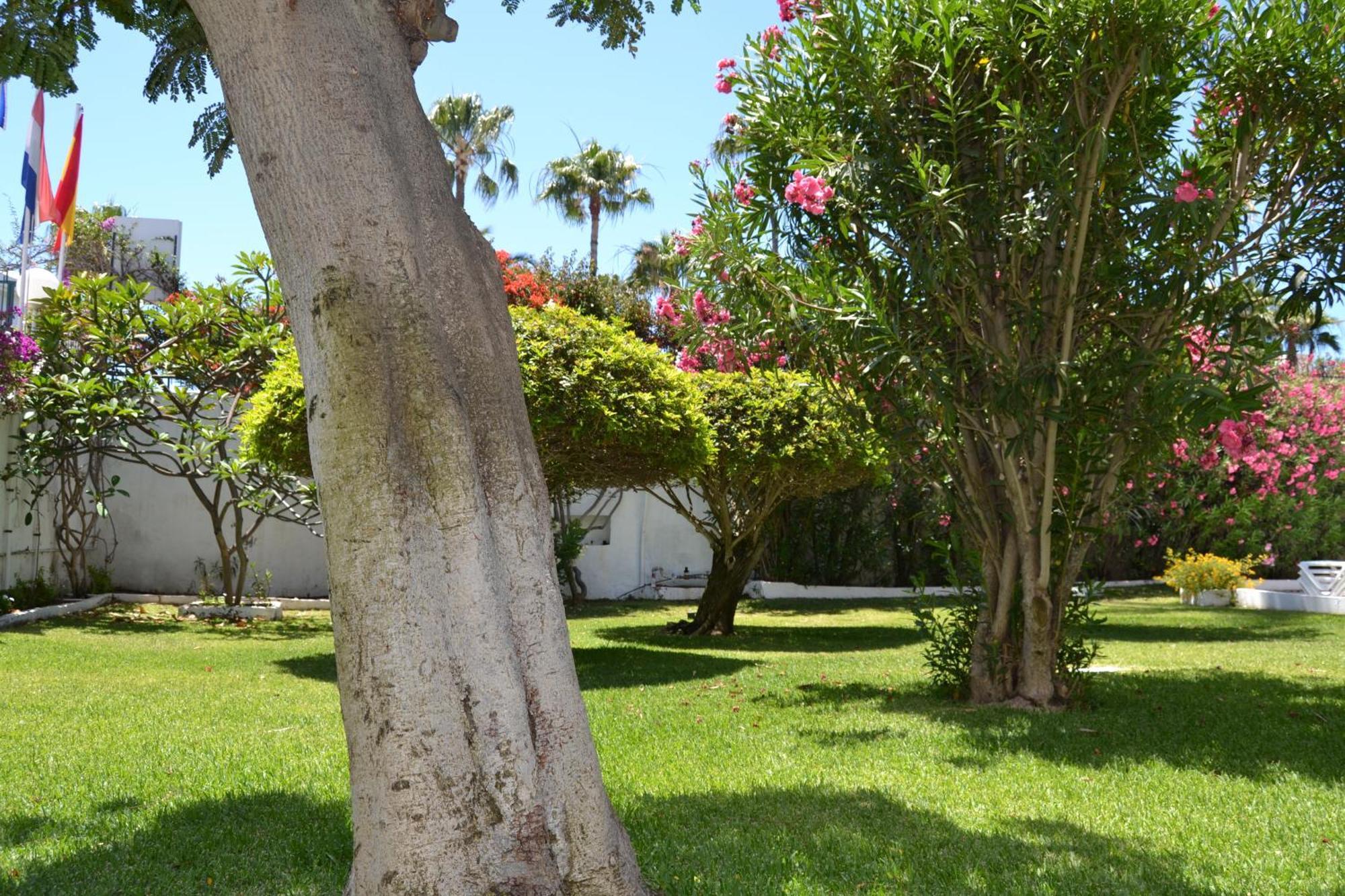 Apartamentos Don Quijote Playa del Ingles  Bagian luar foto
